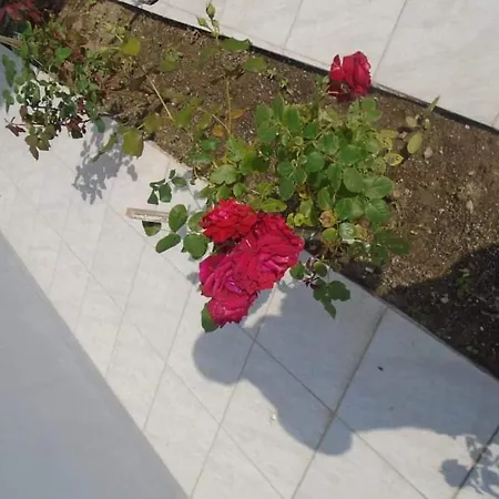 House Filippos Appartement *