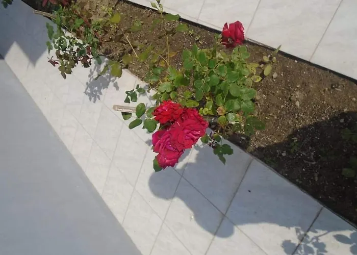 House Filippos Apartman *